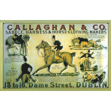 Callaghan &amp; Co. -(30 x 20cm)