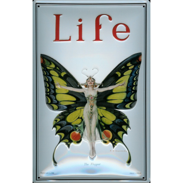 Life - The flapper-(20 x 30cm)