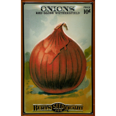 Burt&#039;s Onions  -(20 x 30cm)