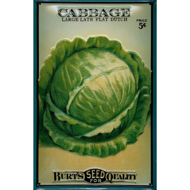 Burt&#039;s Cabbage-(20 x 30cm)