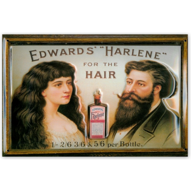 Edwards' Harlene-(20 x 30cm)