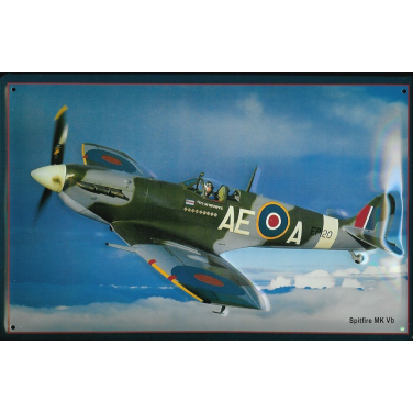 Spitfire MK Vb-(30 x 20cm)