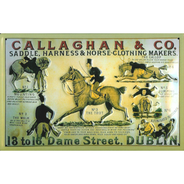 Callaghan & Co. -(30 x 20cm)