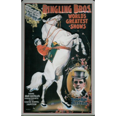 Ringling Bros-white Horse-(20 x 30cm)