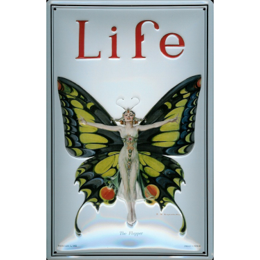 Life - The flapper-(20 x 30cm)