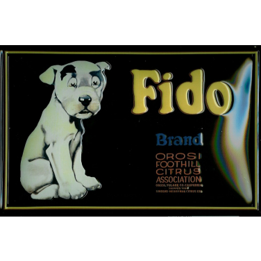 Fido-(20 x 30cm)