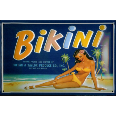 Bikini -(20 x 30cm)