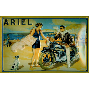 Ariel -Strand-(30 x 20cm)