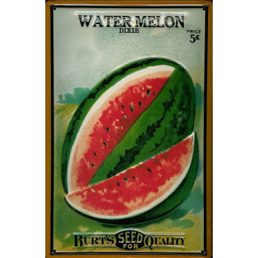 Burt's Water Melon  -(20 x 30cm)