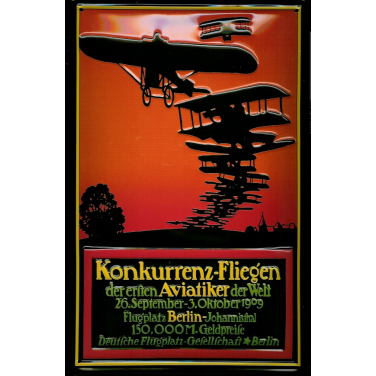 Konkurrenz-Fliegen-(20x 30cm)