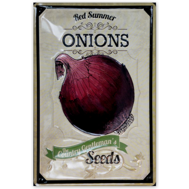 Onions -(20 x 30cm)
