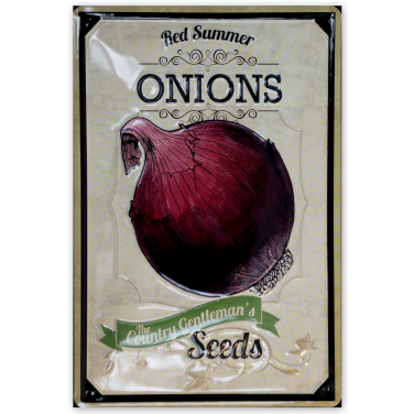 Onions -(20 x 30cm)