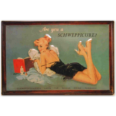 Schweppes-Are you a Schweppicure?-(20x30cm)