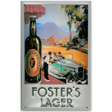 Forster'sLarger car-(20x30cm)
